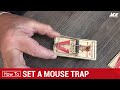 How To Set A Mouse Trap - Ace Hardware