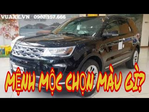 Mệnh MỘC chọn màu gì? | Chọn màu xe phù hợp với mệnh mộc | Vua Xe tư vấn mua xe
