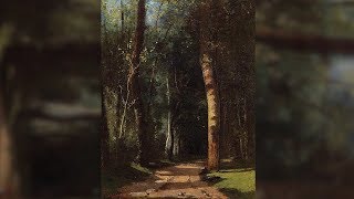 Into the Woods - Aashray Harishankar