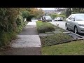 Brave Cat vs Coyote Vancouver