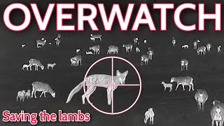 Doing Overwatch On The Lambing Paddocks  Control