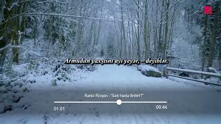Ramiz Rövşən Səni Harda Itirdim?