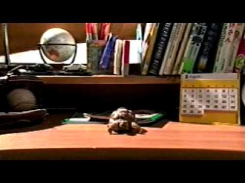 Ranker Video