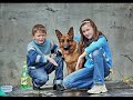 Немецкая овчарка Холли и 8-летний