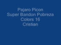 pajaro picon picon