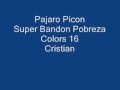 pajaro picon picon