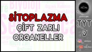 16) Sitoplazma 2 (Çift Zarlı Organeller) - Hücre İskelet Elemanları