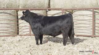 Hooks Justified 216J