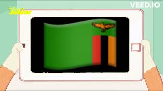 Bingo Reacts To Zambia Eas Alarm