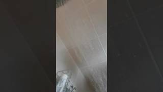 Senegence In The Shower