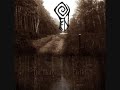 Colossal Voids Video preview