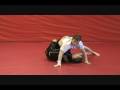 Half Guard Sweep Chain