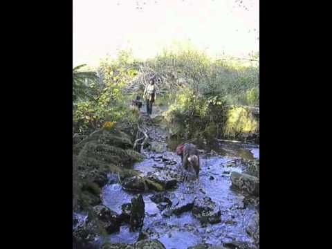 Hiking in the Belgian Ardennes