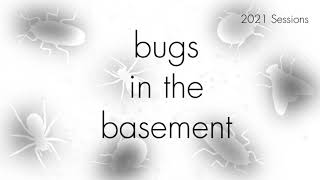 Bugs In The Basement - Milax Gagates aka The Greenhouse Slug