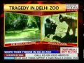 Who is responsible for the youth's death at the Delhi zoo?