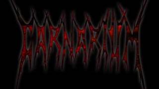 Watch Carnarium Fenix video
