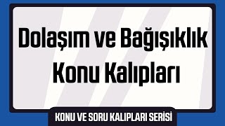 45 Dakikada Tek  Tüm Dolaşım ve Bağışıklık Sistemi