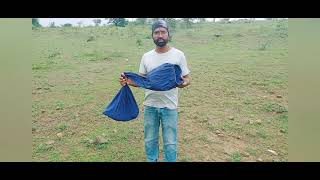 Dhaman Sap Release Indian Rat Snake Non Venomous Snake.