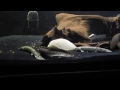 feeding time