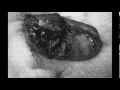 El experimento ruso del sueño