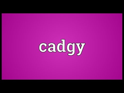 Header of cadgy
