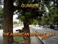 Video GUNNER THE AMERICAN BRINDLE PITBULL.