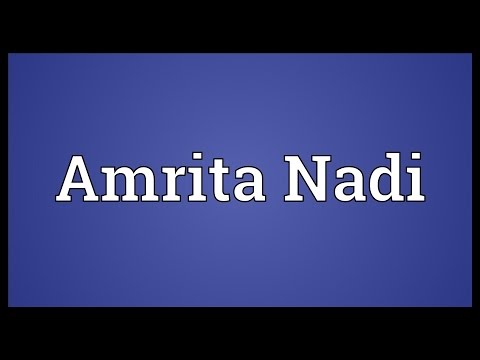 Header of amrita nadi