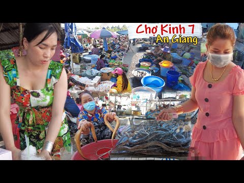 Chợ Kinh 7 Châu Phú An Giang nét đẹp chợ quê miền tây truyền thống xưa