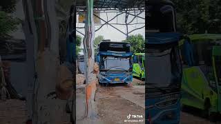 Putra Rb Putra Pijay X Rizki Pijay