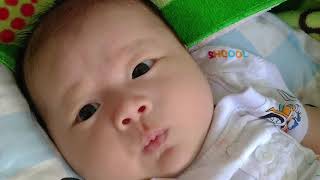 Thôi Nôi Tmilk