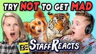 TRY NOT TO GET MAD CHALLENGE #3 (ft. FBE Staff) TRY NOT TO GET MAD CHALLENGE #3 (ft. FBE Staff)