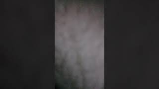Yengemi Gizlice Videoya Aldım