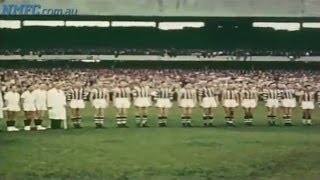 qoC79PAIY3Q Video Image