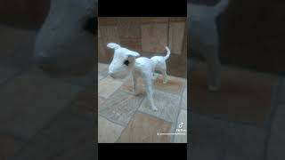 qoH-hd947tA Video Image