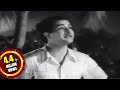 Missamma Movie || Raavoyi Chandamaama Video Song || NTR, ANR, SVR, Savitri, Jamuna