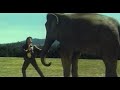 Видео (Месть слона / Jodidar) - Haathi Mera Yaar