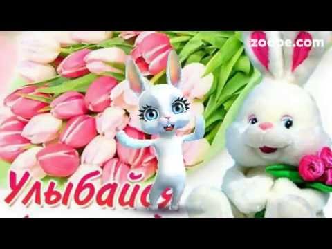 Поздравление от зайки zoobe с днем рождения скачать