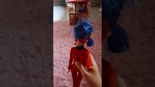 Ladybug