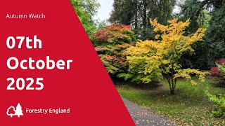Westonbirt Arboretum Autumn Watch - 7 October 2025