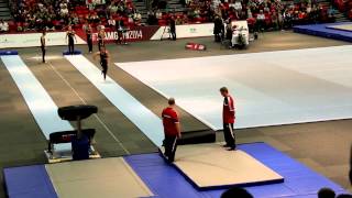 Teamgym EM 2014 Finale Danmark Men Trampet