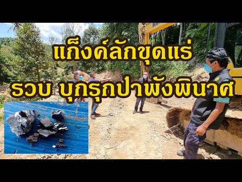 จับทันควัน แก็งค์ขุดแร่ รุกป่าสงวน พบสายแร่ตะกั่วมหาศาล