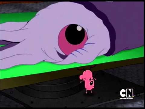 courage the cowardly dog season 1 dvdrip torrent
