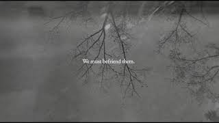 urban nature walk with text