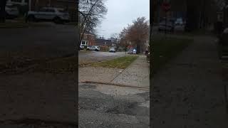 Always sunny in Marquette Park
