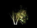 Ghost Attack Caught On Camera Scary Ghost Apparition Paranormal Activity