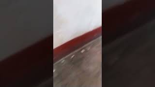 23 De Febrero De 2024