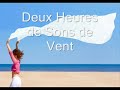 Bruits et Sons du Vent : Sons de Sommeil et Relaxation 2 Heures