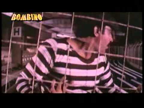 Sharara 5 1984