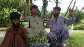 funny boys singing songs