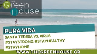 Pura Vida I Santa Teresa versus Virus I Costa Rica I I 4k I